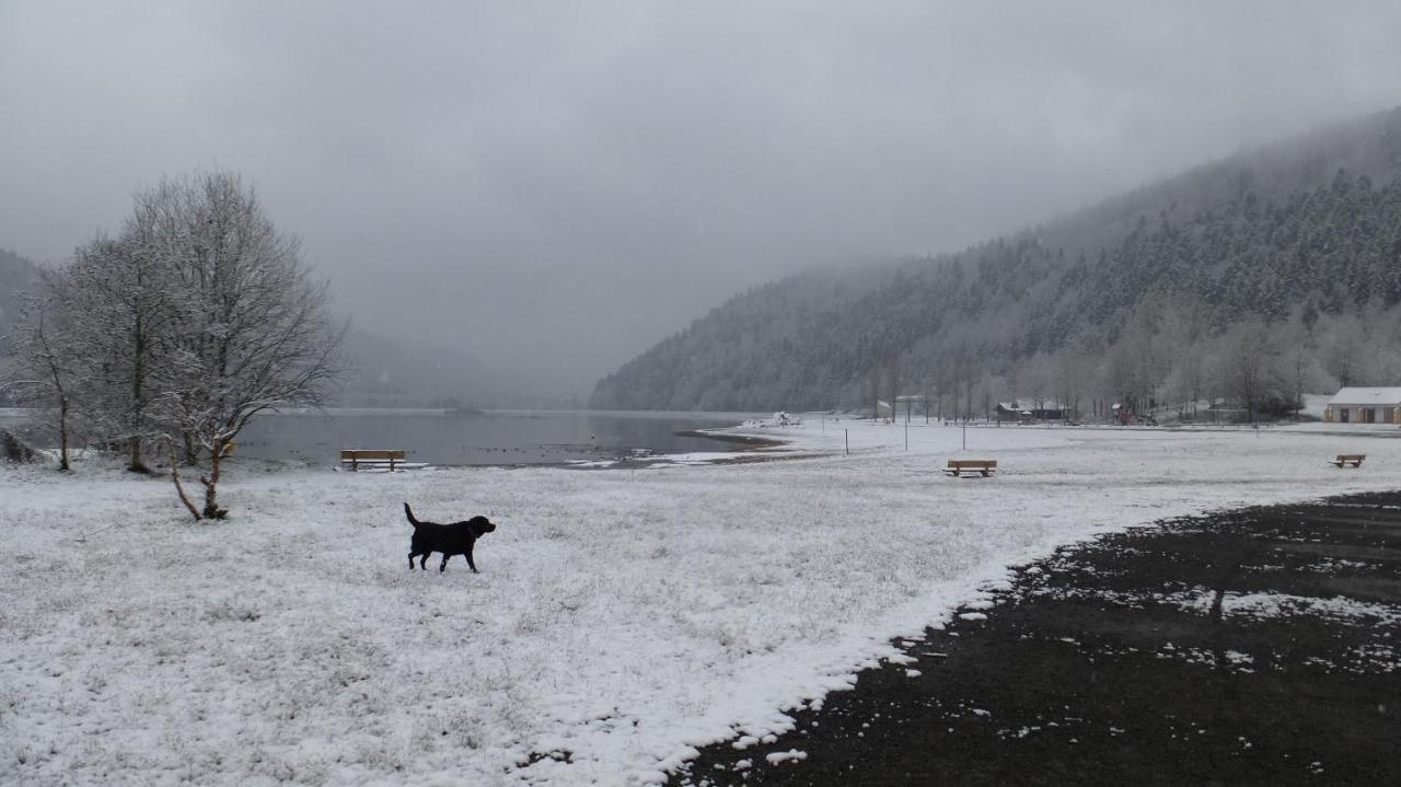 Gite Appartement Du Pays Des Lacs De Pierre Percee Celles-sur-Plaine Exteriör bild